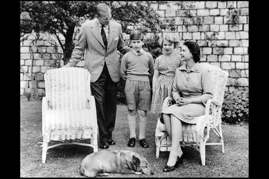 LA REINA ISABEL II DE INGLATERRA. Ftos. DEL AYER - Página 10 La-reine-Elizabeth-II-avec-le-prince-Philip-le-prince-Charles-et-la-princesse-Anne-juin-1956
