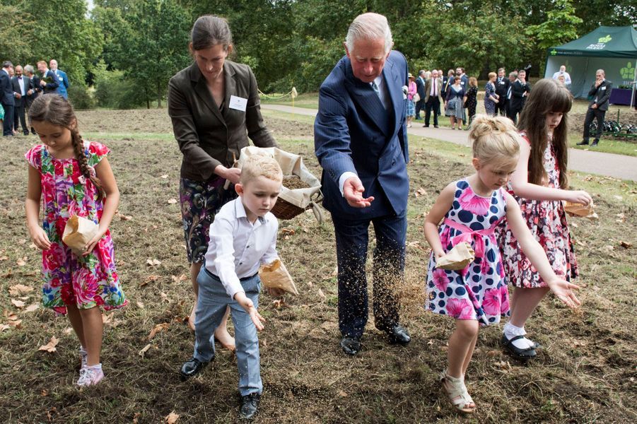 Le-prince-Charles-a-Green-Park-a-Londres-le-6-septembre-2016.jpg