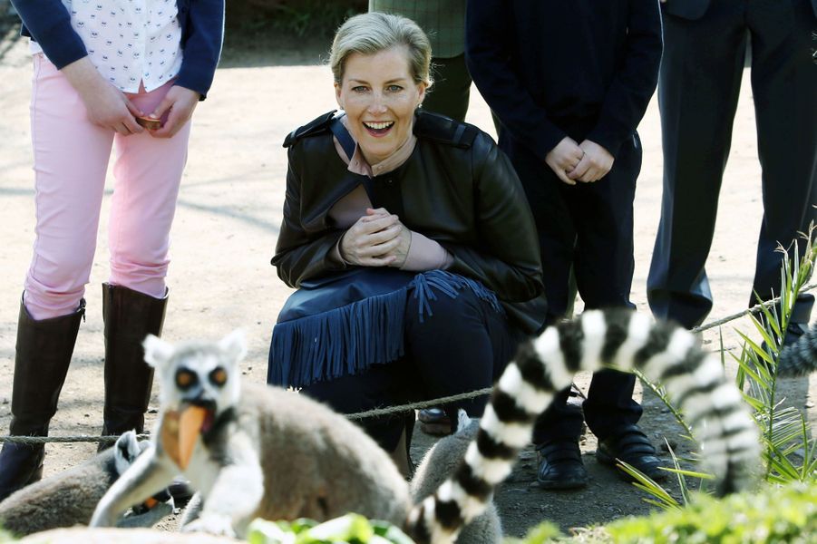 La-comtesse-Sophie-de-Wessex-au-zoo-de-Bristol-le-14-avril-2016.jpg